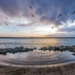 A beautiful sunset of purples and blues with birds flying over a small tide pool on a beach